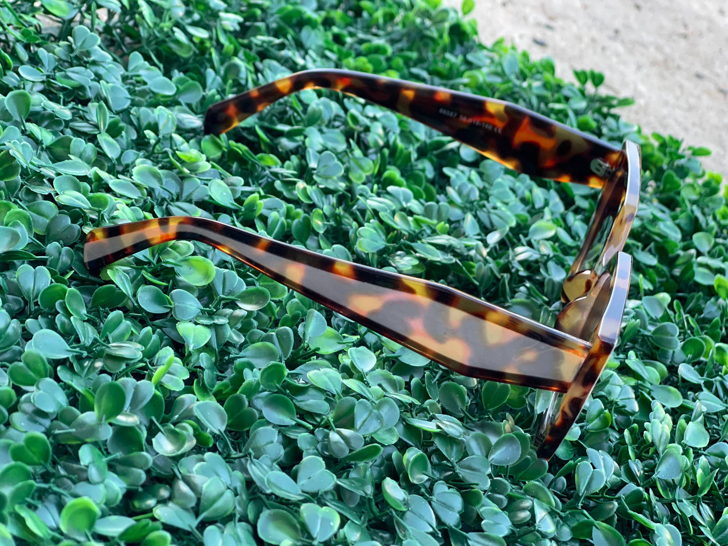 Beveled Cut Sunglasses + Case in Black