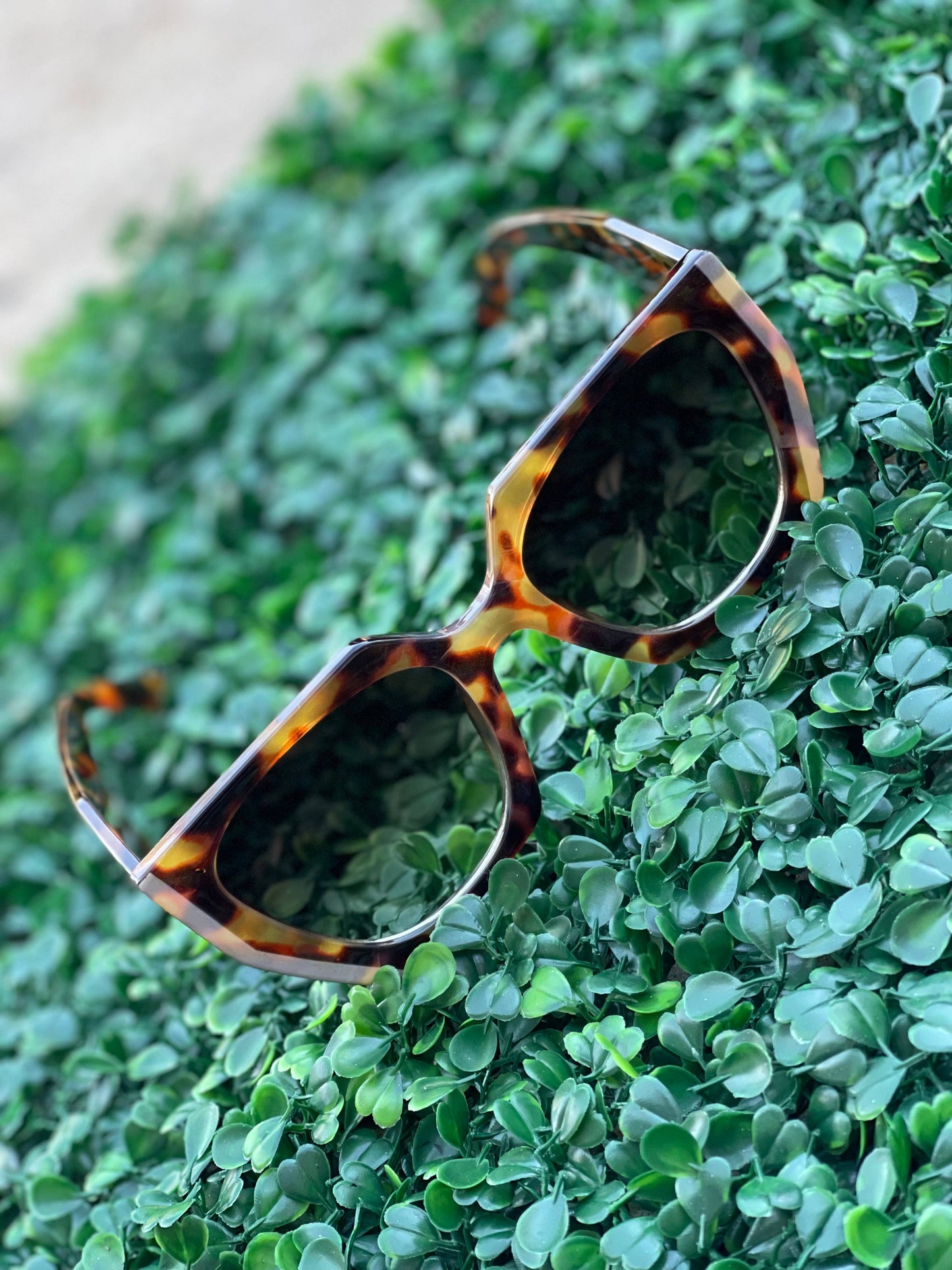 Beveled Cut Sunglasses + Case in Black