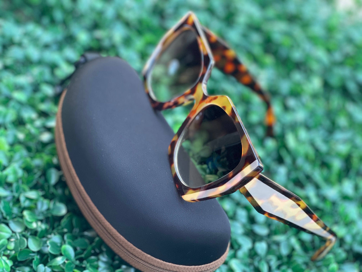 Beveled Cut Sunglasses + Case in Black