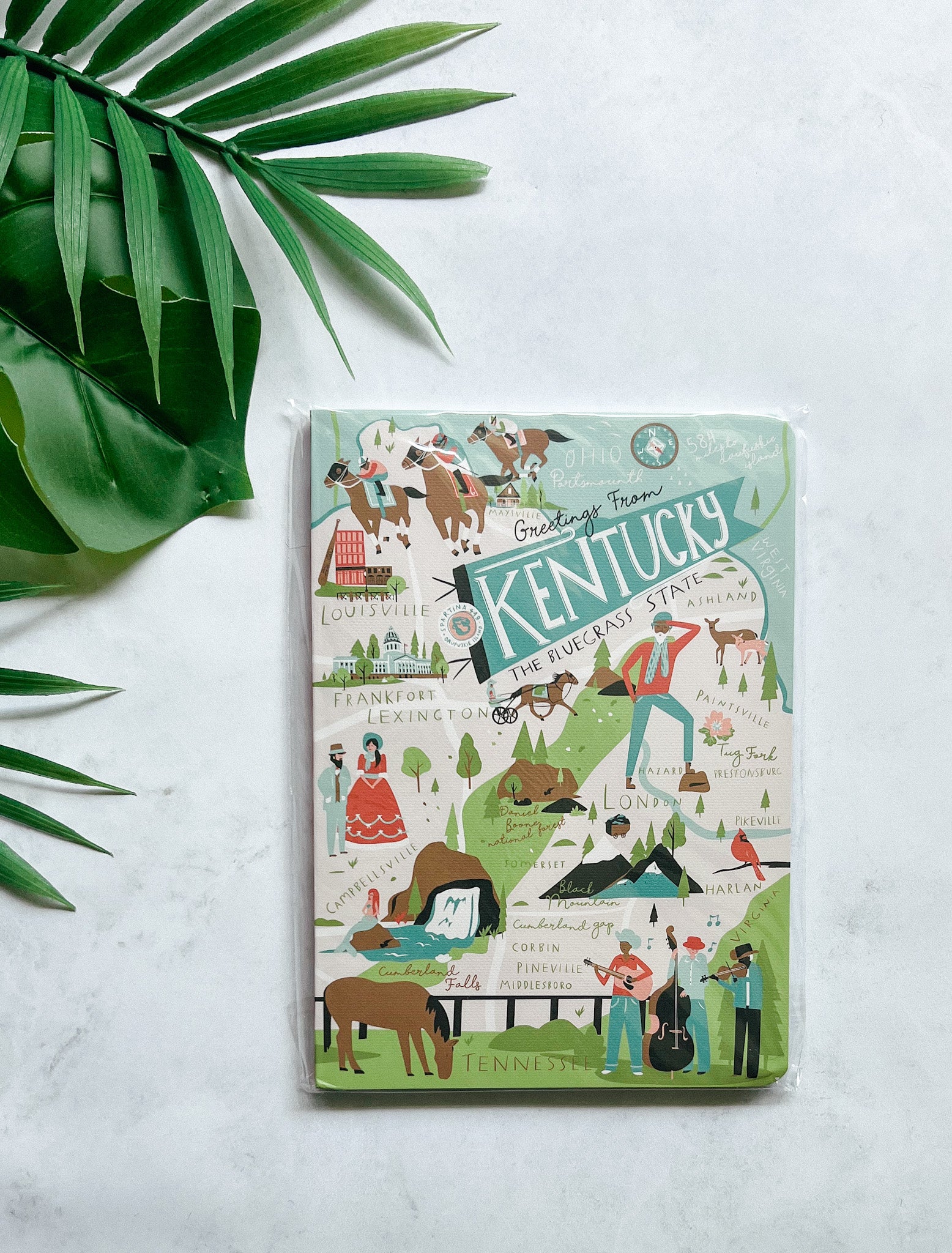 Spartina 449 5x7 notebooks -  Kentucky front cover